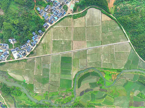 Choubao Luosifen to Expand Business across the Supply Chain - Choubao